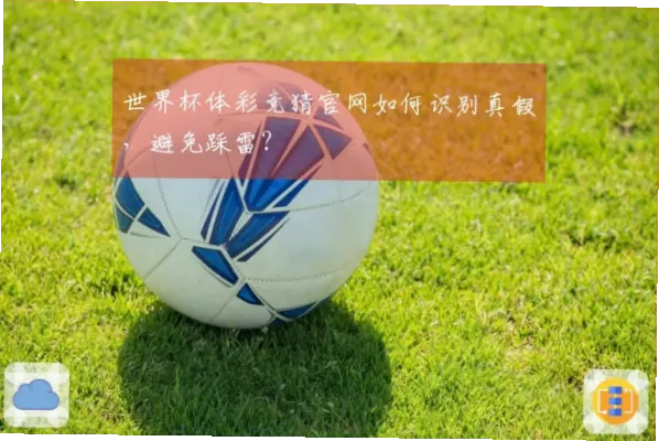 竞猜足彩官网如何辨别真伪？
